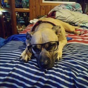 Meet your Posher, Alexis